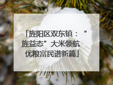旌阳区双东镇：“旌益态”大米领航 优粮富民谱新篇