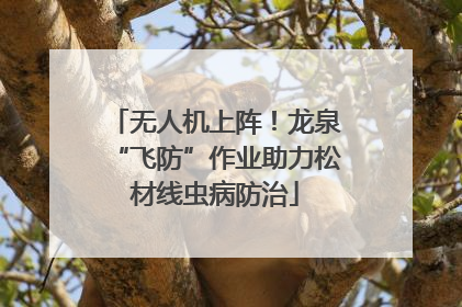 无人机上阵！龙泉“飞防”作业助力松材线虫病防治