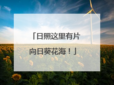 日照这里有片向日葵花海！