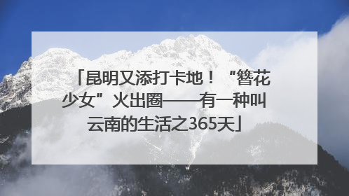 昆明又添打卡地！“簪花少女”火出圈——有一种叫云南的生活之365天