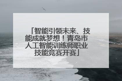 智能引领未来、技能成就梦想！青岛市人工智能训练师职业技能竞赛开赛