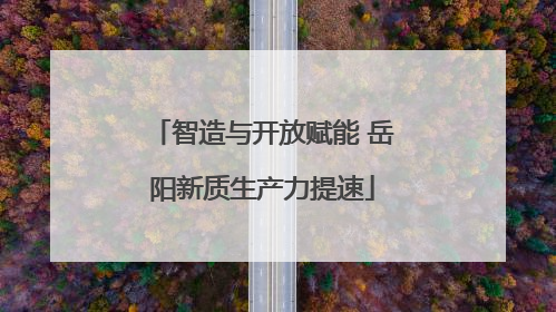 智造与开放赋能 岳阳新质生产力提速