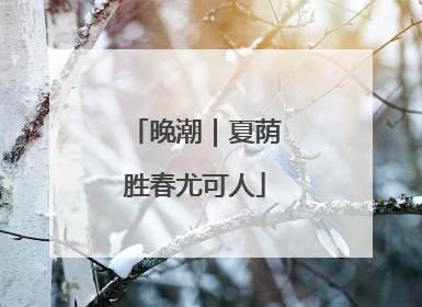 晚潮｜夏荫胜春尤可人