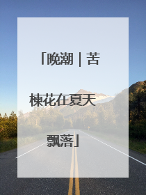 晚潮｜苦楝花在夏天飘落