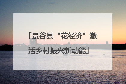 景谷县“花经济”激活乡村振兴新动能