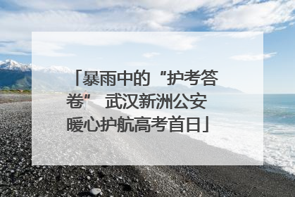 暴雨中的“护考答卷” 武汉新洲公安暖心护航高考首日