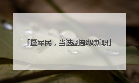暨军民，当选副部级新职
