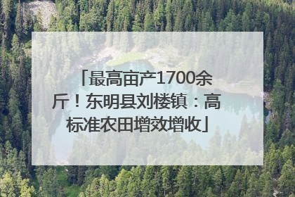 最高亩产1700余斤！东明县刘楼镇：高标准农田增效增收
