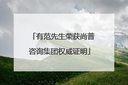 有范先生荣获尚普咨询集团权威证明