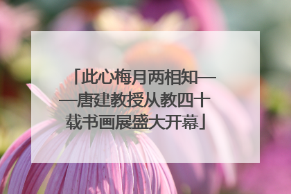 此心梅月两相知——唐建教授从教四十载书画展盛大开幕