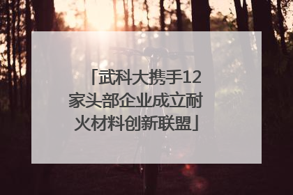 武科大携手12家头部企业成立耐火材料创新联盟