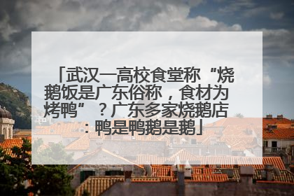 武汉一高校食堂称“烧鹅饭是广东俗称，食材为烤鸭”？广东多家烧鹅店：鸭是鸭鹅是鹅