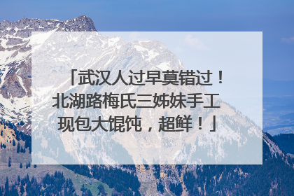 武汉人过早莫错过！北湖路梅氏三姊妹手工现包大馄饨，超鲜！