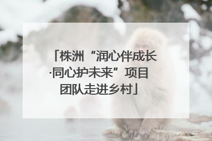 株洲“润心伴成长·同心护未来”项目团队走进乡村
