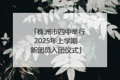 株洲市四中举行2025年上学期新团员入团仪式