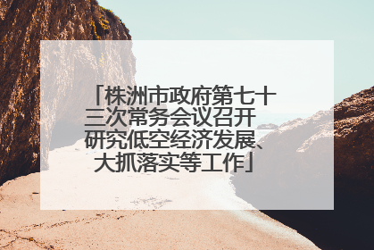 株洲市政府第七十三次常务会议召开 研究低空经济发展、大抓落实等工作