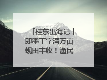 桂东出海记丨即墨丁字湾万亩蚬田丰收！渔民泥里挖蚬，一天上岸过千斤