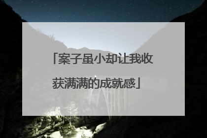 案子虽小却让我收获满满的成就感