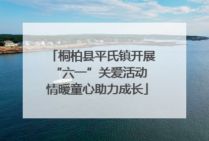 桐柏县平氏镇开展“六一”关爱活动 情暖童心助力成长