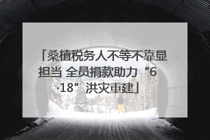 桑植税务人不等不靠显担当 全员捐款助力“6·18”洪灾重建