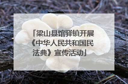 梁山县馆驿镇开展《中华人民共和国民法典》宣传活动