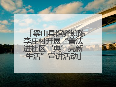 梁山县馆驿镇陈李庄村开展“普法进社区‘典’亮新生活”宣讲活动