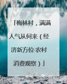 梅林村，满满人气从何来（经济新方位·农村消费观察）