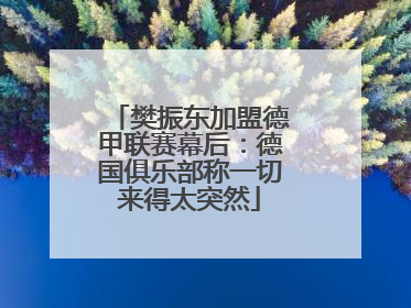 樊振东加盟德甲联赛幕后：德国俱乐部称一切来得太突然