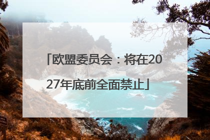 欧盟委员会：将在2027年底前全面禁止