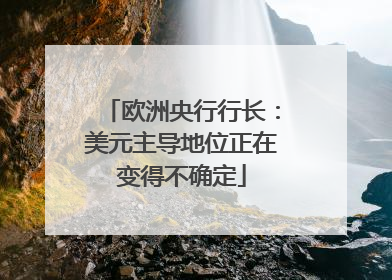 欧洲央行行长：美元主导地位正在变得不确定