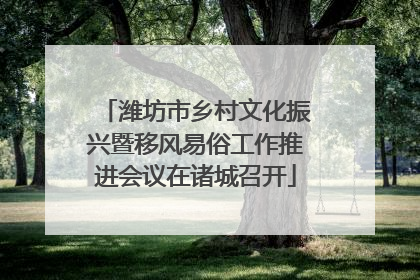 潍坊市乡村文化振兴暨移风易俗工作推进会议在诸城召开