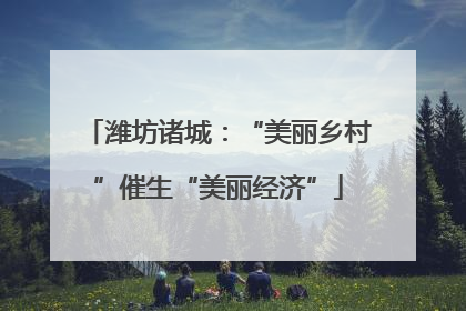 潍坊诸城：“美丽乡村”催生“美丽经济”