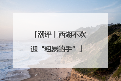 潮评丨西湖不欢迎“粗暴的手”