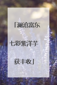 澜沧富东七彩紫洋芋获丰收