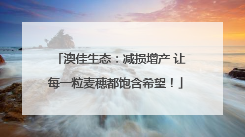 澳佳生态：减损增产 让每一粒麦穗都饱含希望！