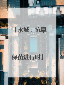 永城：抗旱保苗进行时