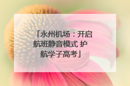 永州机场：开启航班静音模式 护航学子高考