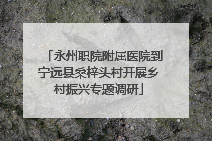 永州职院附属医院到宁远县桑梓头村开展乡村振兴专题调研