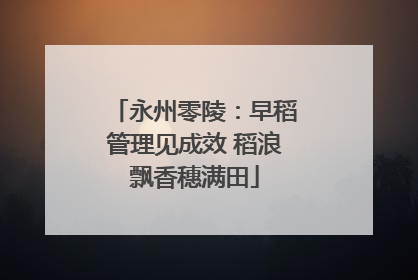 永州零陵：早稻管理见成效 稻浪飘香穗满田