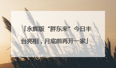 永辉版“胖东来”今日丰台亮相，月底前再开一家
