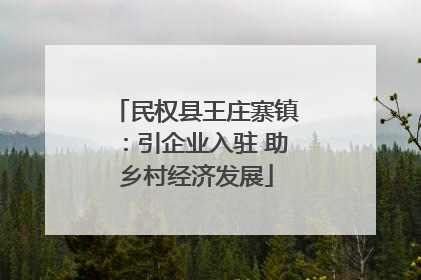 民权县王庄寨镇：引企业入驻 助乡村经济发展