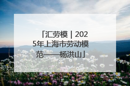 汇劳模｜2025年上海市劳动模范——杨洪山