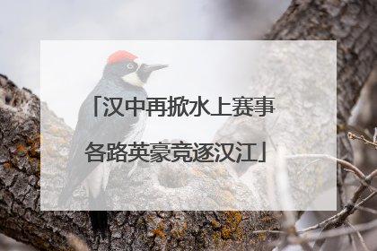 汉中再掀水上赛事 各路英豪竞逐汉江
