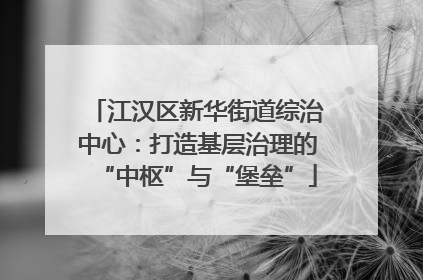 江汉区新华街道综治中心：打造基层治理的“中枢”与“堡垒”