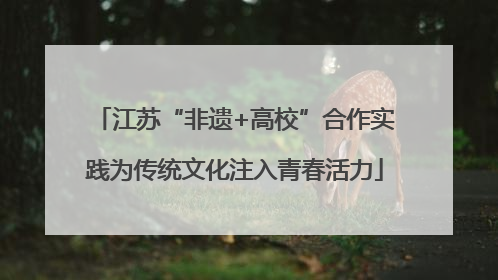 江苏“非遗+高校”合作实践为传统文化注入青春活力
