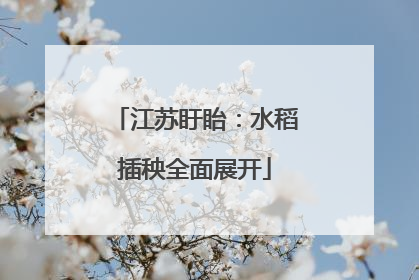 江苏盱眙：水稻插秧全面展开