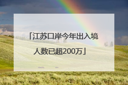 江苏口岸今年出入境人数已超200万