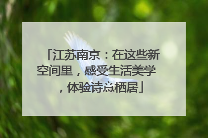 江苏南京：在这些新空间里，感受生活美学，体验诗意栖居