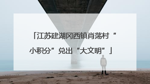 江苏建湖冈西镇肖荡村“小积分”兑出“大文明”