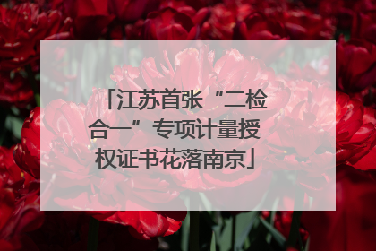 江苏首张“二检合一”专项计量授权证书花落南京